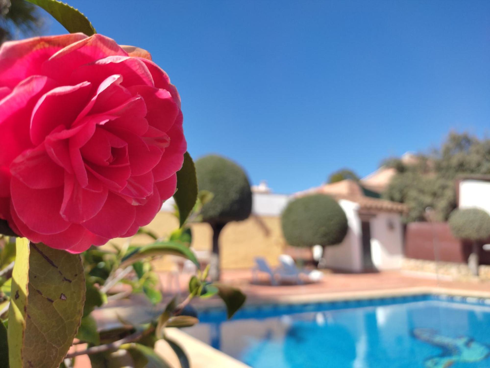 Casa Maleda Villa Орначуелос Екстериор снимка